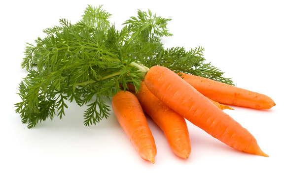 carrots