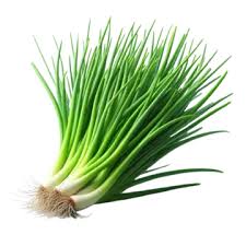 Chives