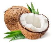 Coconut