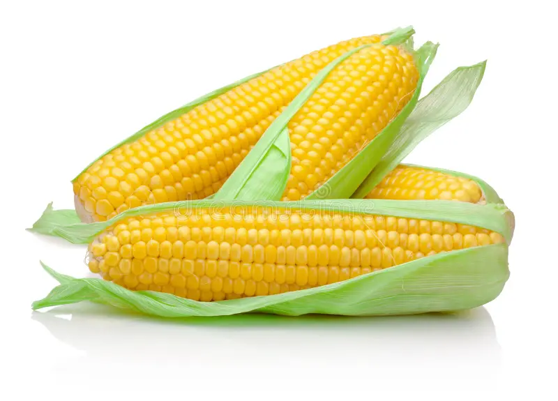 Corn cob