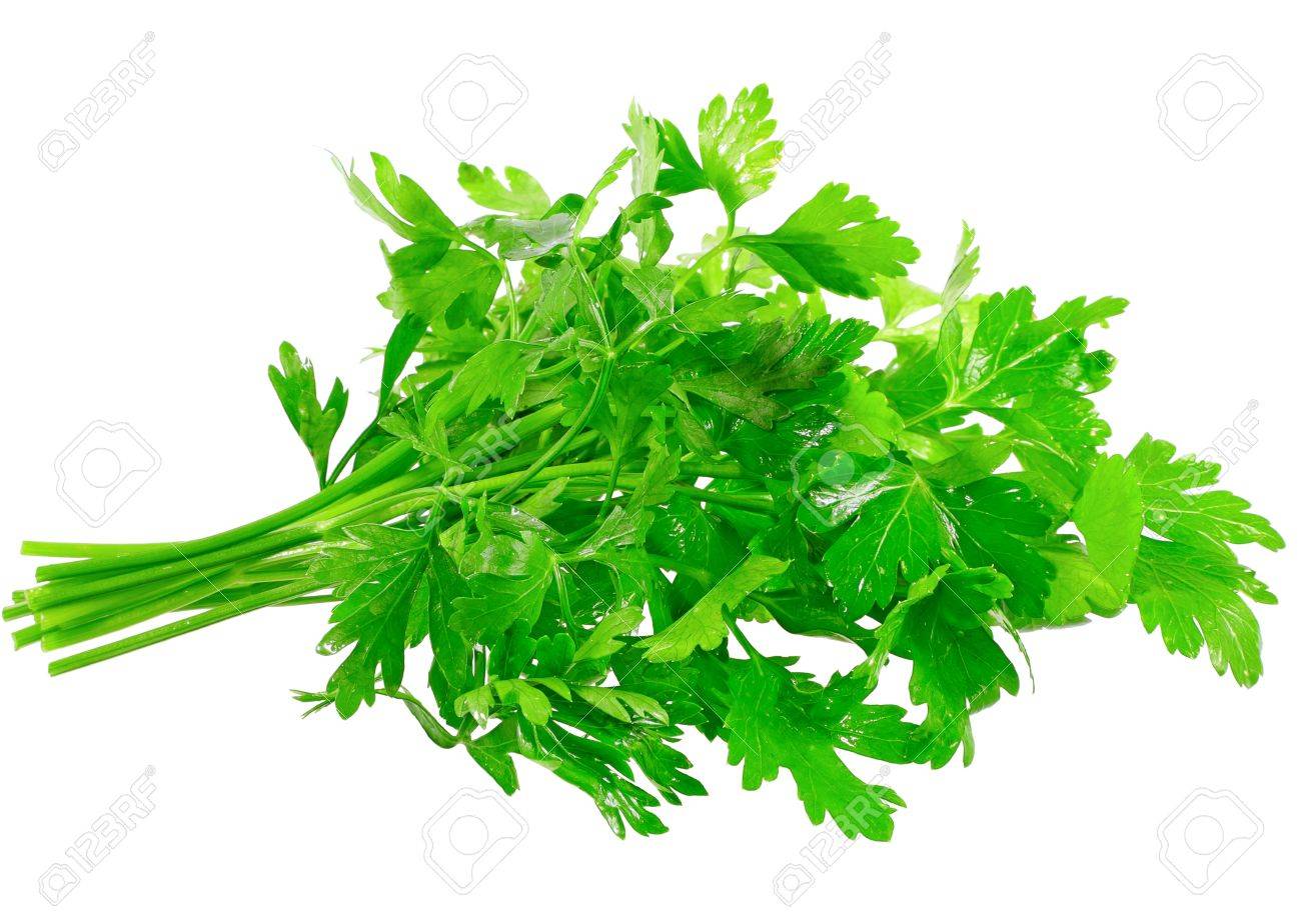 parsley for Lasagna